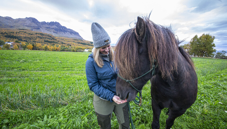 Laura og hesten hennes «Gæfur».