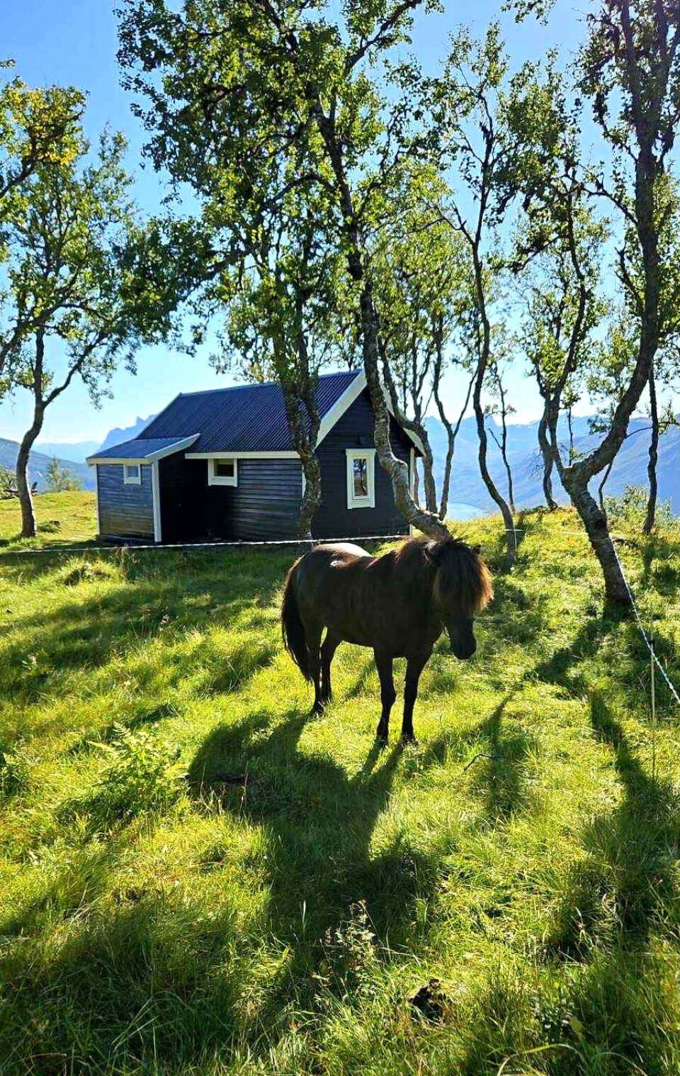 En roligere hverdag, med kort vei til alt: Her fant de både kjærligheten og det gode liv